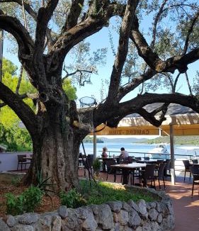 Luka Bed & Breakfast | Pansion Alen - Dugi otok