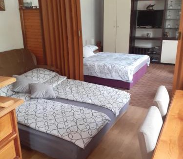 Ogulin Apartment | Sokol