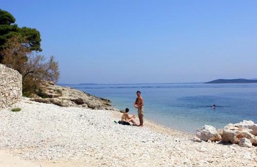 Savar Apartment | Apartments by the sea Savar, Dugi otok - 892