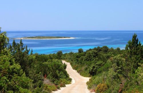 Savar Apartment | Apartments by the sea Savar, Dugi otok - 8079