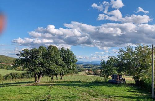 Bor Villa | Vila Boba Bor