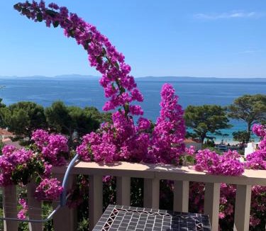 Brela Apartment | Villa BOSE