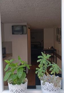 Bidol Apartment | Ružica 2