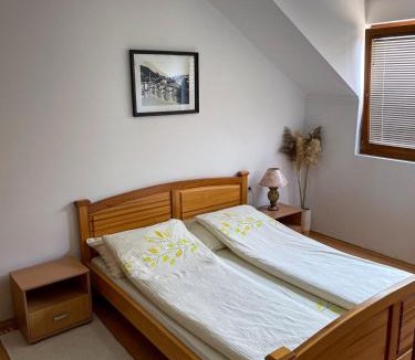 Visegrad Apartment | Apartments Vila Hercegovina