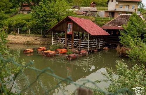Okletac Other | Mikin vajat i ribnjak Korenita, Loznica