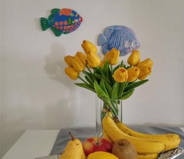 Ilovik Apartment | ILOVIK FLOWER