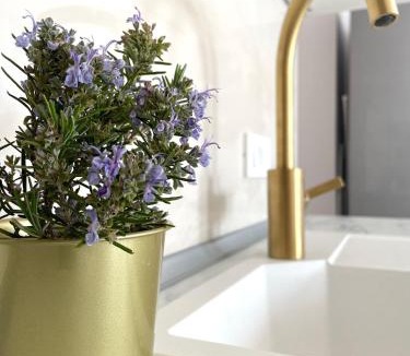 Stinica Apartment | Apartment Vila *
