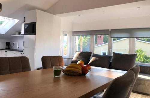 Opric Apartment | Apartments Villa Učka