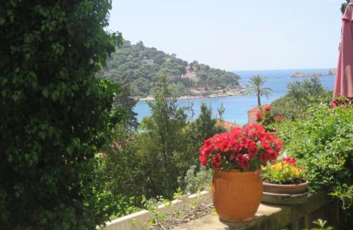 Babin Kuk Apartment | Villa Miomir