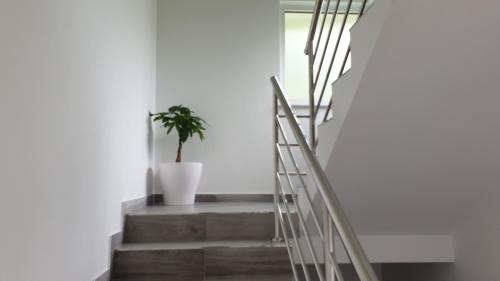 Đurmanec Apartment | Apartmani Šalković