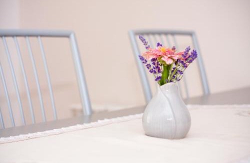 Krapinske Toplice Apartment | Apartmani Strsoglavec