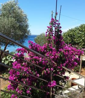 Silba House | Blue Lagoon