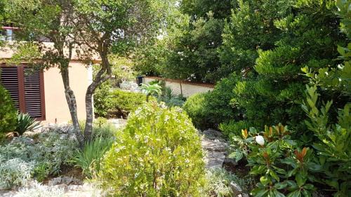 Skrbcici Villa | Apartments Villa Temer
