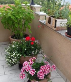 Krusevo Apartment | Apartments Villa Marija