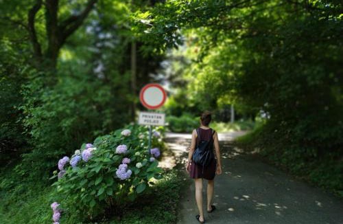 Varazdinske Toplice House | Old Chestnut Vacation Home