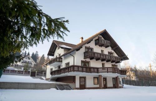 Zarnesti Villa | Vila Molidul Zarnesti