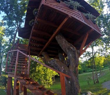 Grabovac House | Villa Ruja