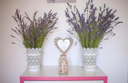 Milovcici Apartment | Apartman Zara
