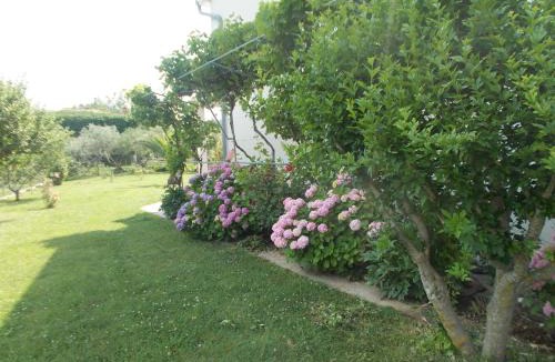 Suha Punta Apartment | Apartments Makaus