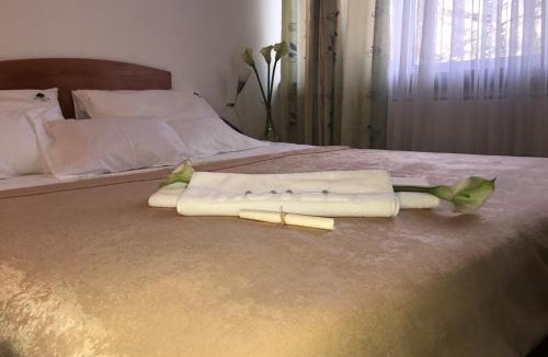 Mali Radic Hotel | Park Hotel