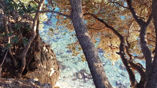 Selce Apartment | Apartments Adriatic
