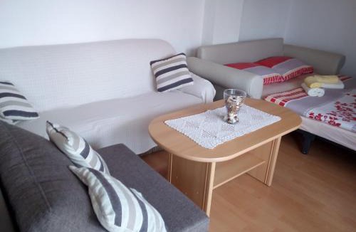 Dreznik Grad Apartment | Apartment Nina
