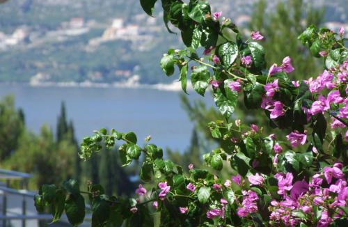 Cavtat House | Villa Kipre