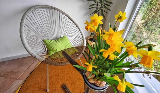 Room-guest Room in Croatia in Samobor