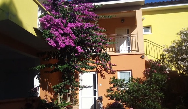 Midi - With two Apartments - A1