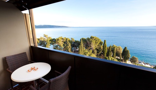 Hotel Drazica