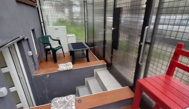 Under the Tree studio, Pet-Friendly in Beograd