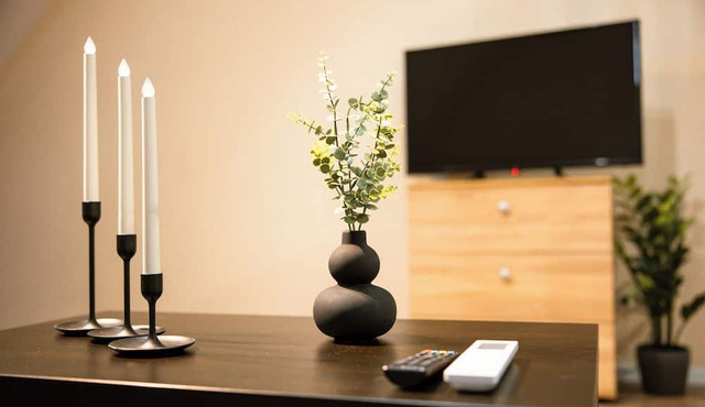 Apartment Sleeps 4 With Pets Welcome in Timisoara