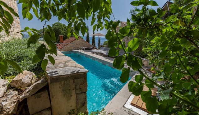 Guest House 'Villa Jasmin - Pet Friendly' with Shared Terrace, Shared Garden and Wi-Fi
