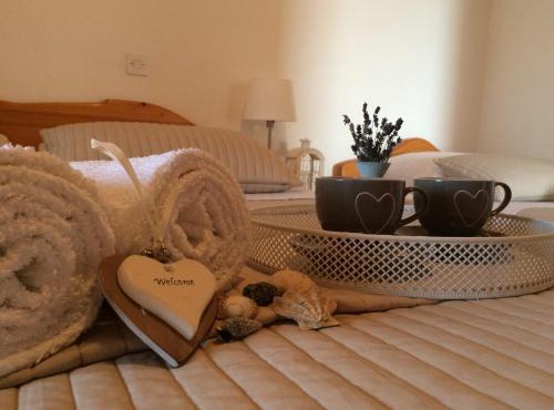 Apartments Villa Jusup in Starigrad