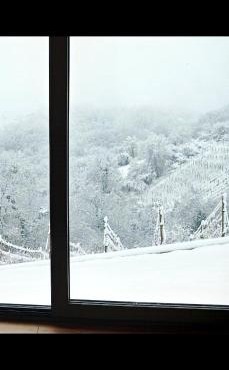 Cozy Chalet LuMa - with vineyards and hills view in Gorušenjak