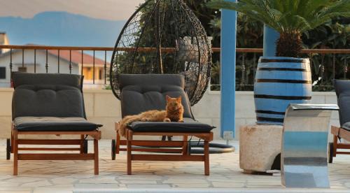 Villa "ORA MARIS" in Podaca
