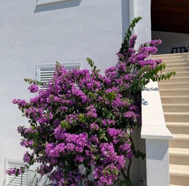 Villa Petra 2 Bedroom Apartments