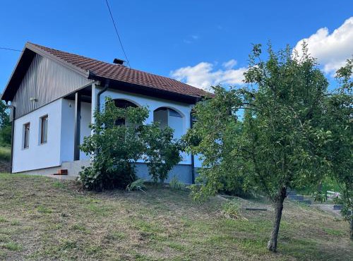 Eko Haus Tesla in Srnava