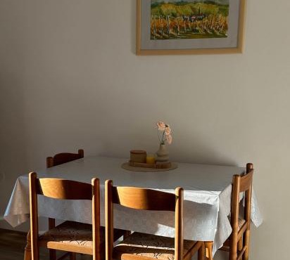 Tomajna Vineyard Stay in Majsperk