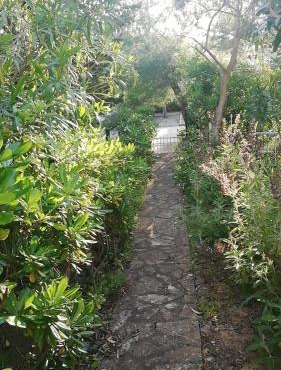 Green Garden in Gajac
