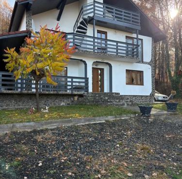Panorama Challet in Gura Râului