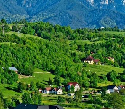Green village Bran in Zarnesti
