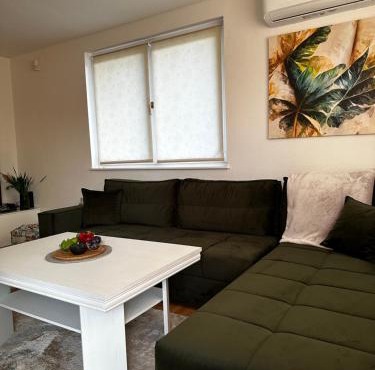 Villa Mercurii - private heated pool in Sarajevo