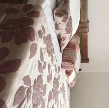 B&B OPG Culig