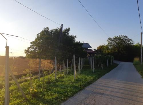 House of The Red Poppy in Mirkovec