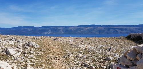 Ruza Apartmani in Draga Bašćanska