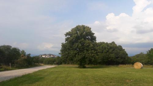 Vila Salamander in Štanjel